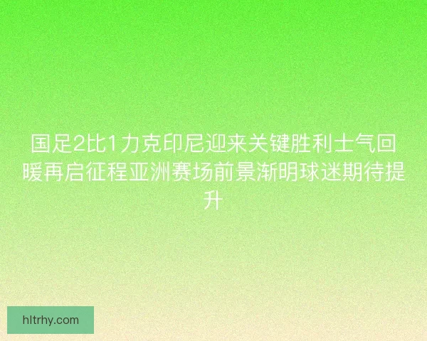 国足2比1力克印尼迎来关键胜利士气回暖再启征程亚洲赛场前景渐明球迷期待提升
